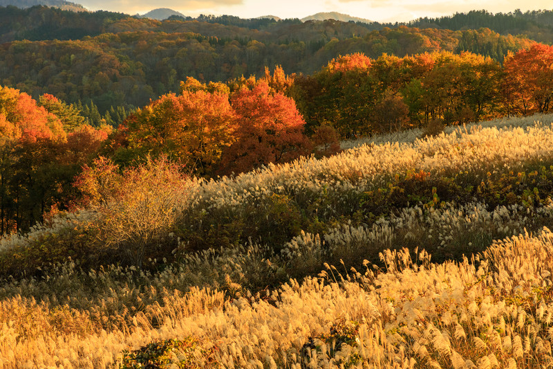 急激に寒くなりましたね🍂